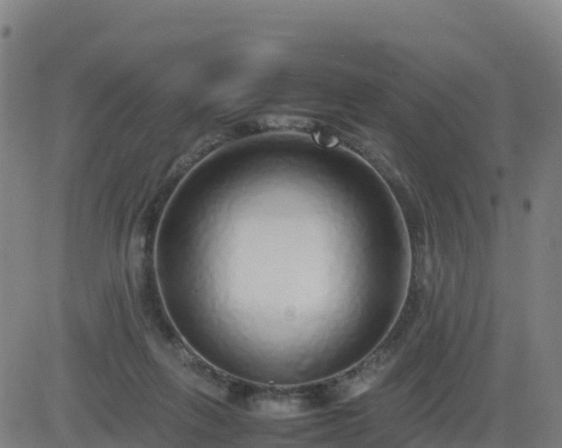 X0000083600263200702162216