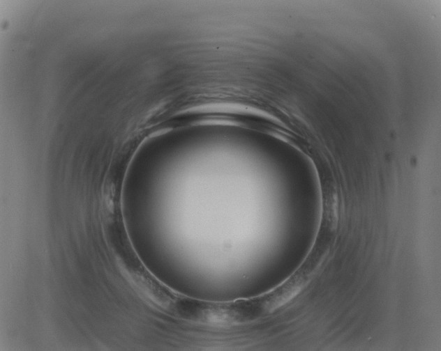 X0000083600264200702162216