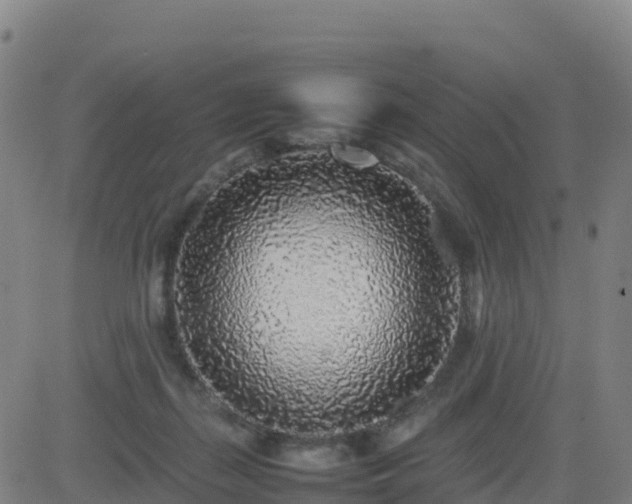 X0000083600267200702162216