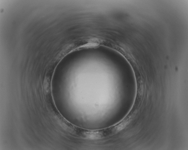 X0000083600273200702162216