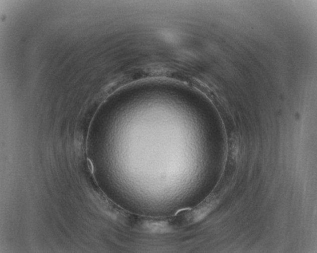 X0000083600283200702162216