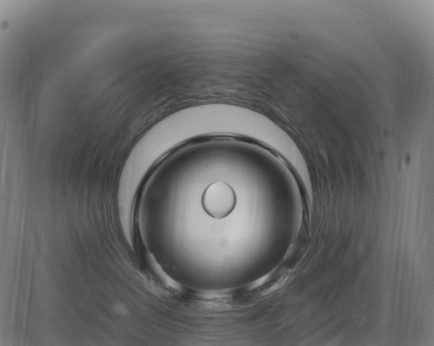 X0000083600286200702162216