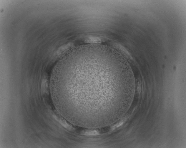 X0000083600322200702162215