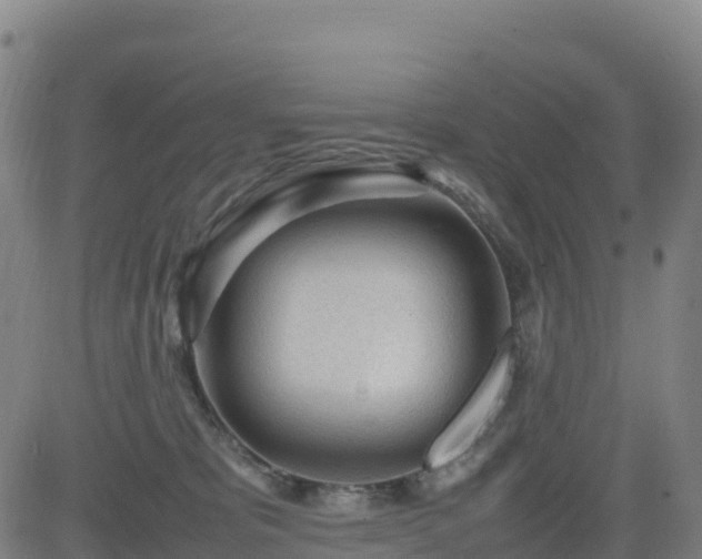 X0000083600325200702162215