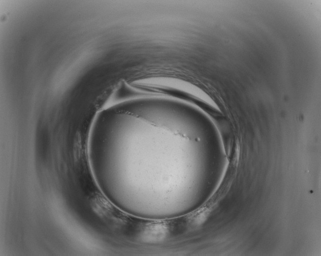 X0000083600335200702162215