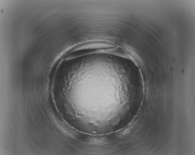 X0000083600346200702162214