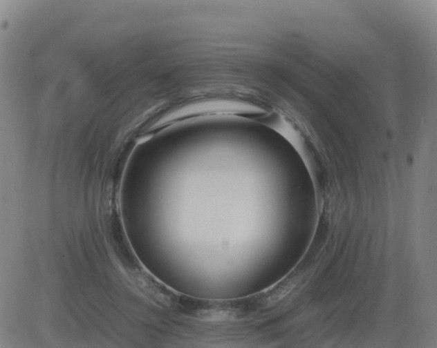 X0000083600356200702162214
