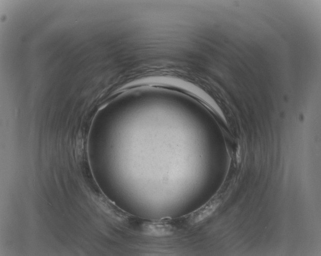 X0000083600372200702162214