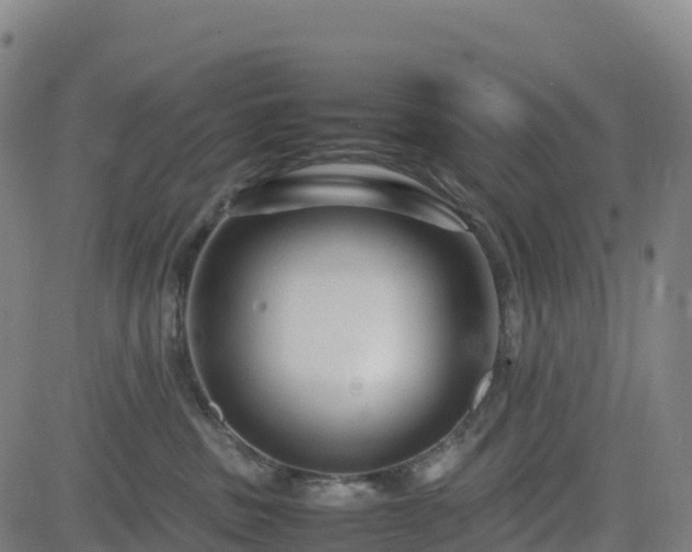 X0000083600379200702162215