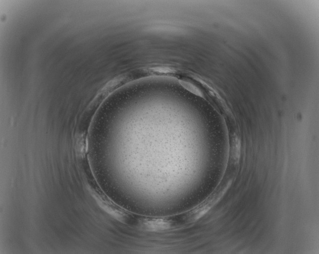 X0000083600383200702162215