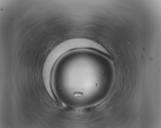 X0000083600384200702162215
