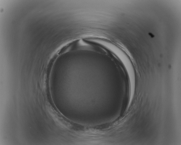 X0000083600387200702162214