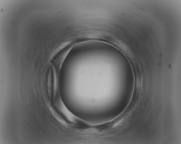 X0000083600397200702162214