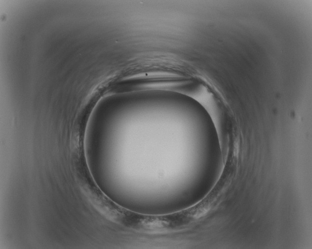 X0000083600407200702162213