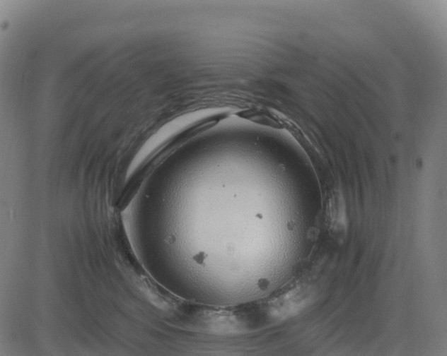 X0000083600424200702162213