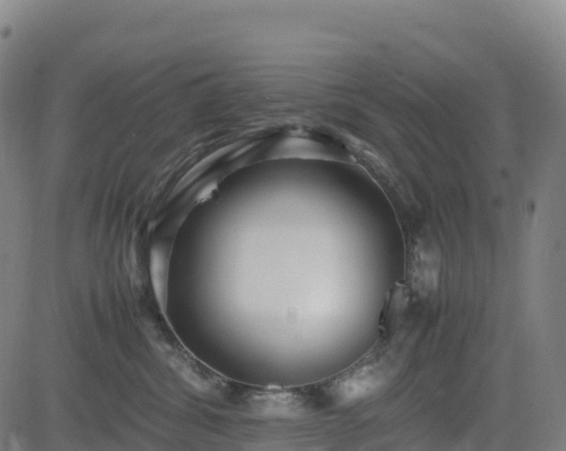 X0000083600428200702162213