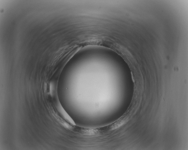 X0000083600432200702162213