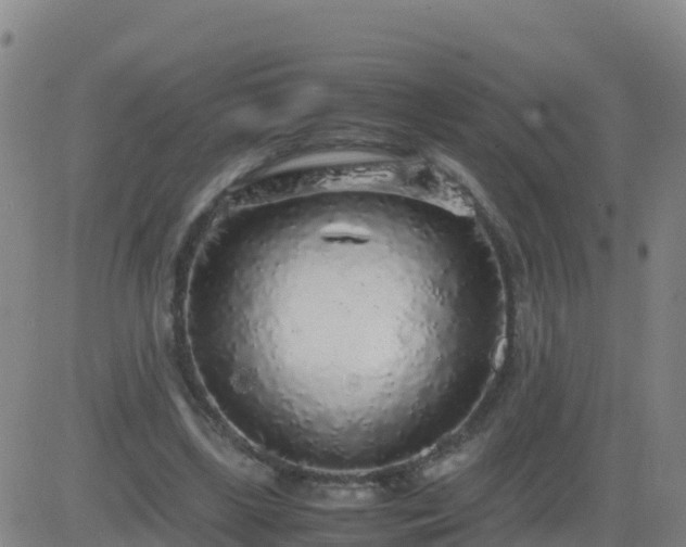 X0000083600443200702162212