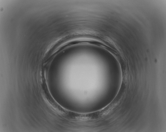 X0000083600448200702162212