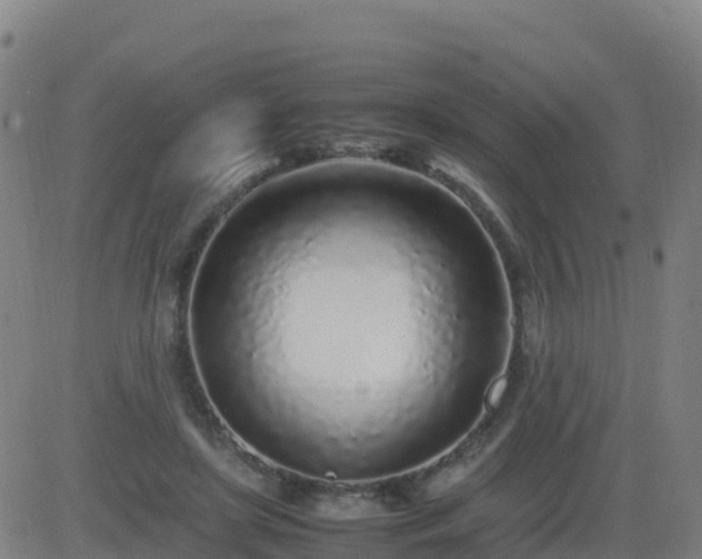 X0000083600451200702162213