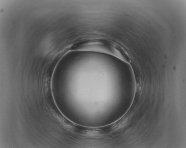 X0000083600462200702162213