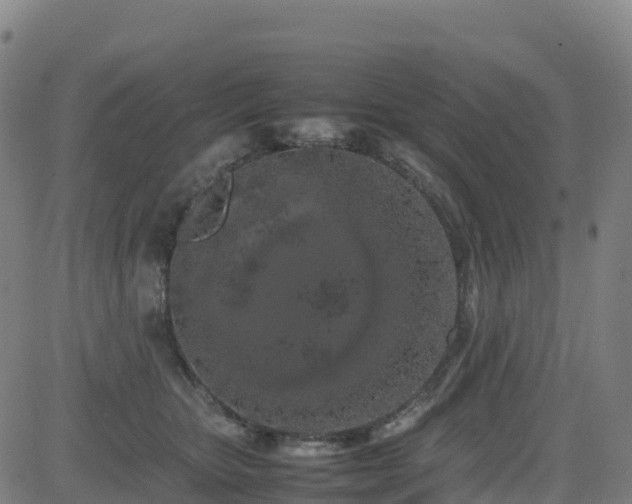 X0000083600467200702162213