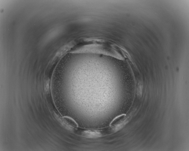 X0000083600477200702162213
