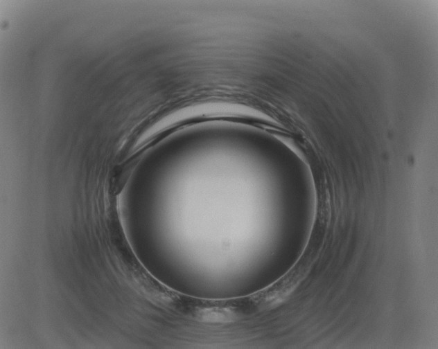 X0000083600508200702162212