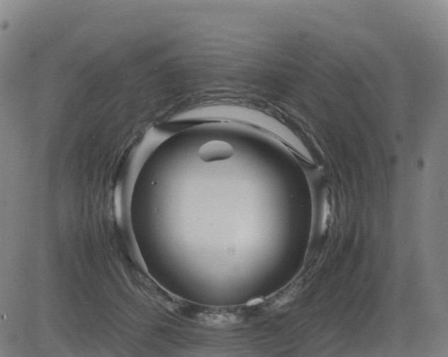 X0000083600512200702162212