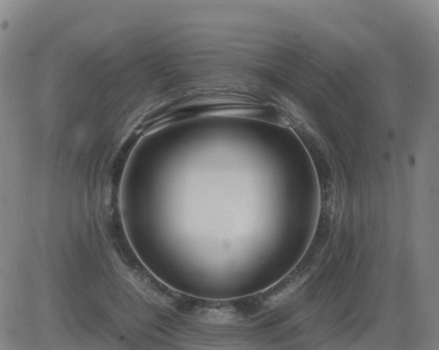 X0000083600548200702162211