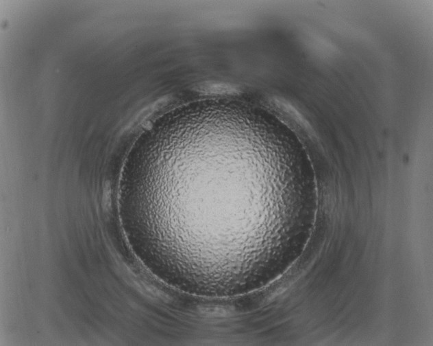 X0000083600549200702162211