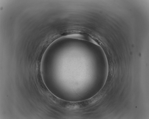 X0000083600551200702162211