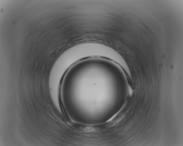 X0000083600562200702162211