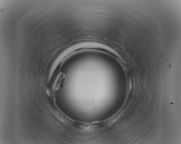 X0000083600564200702162211