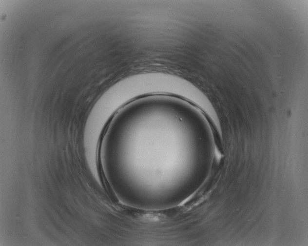 X0000083600566200702162211