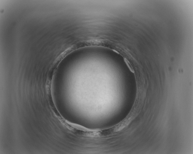 X0000083600576200702162211
