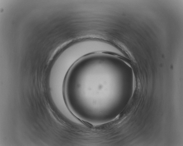 X0000083600588200702162210