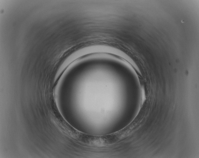 X0000083600600200702162210