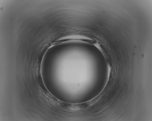 X0000083600604200702162210