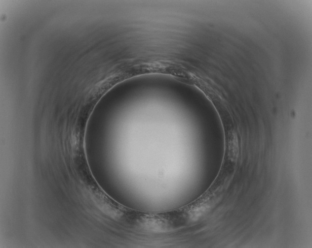 X0000083600608200702162210
