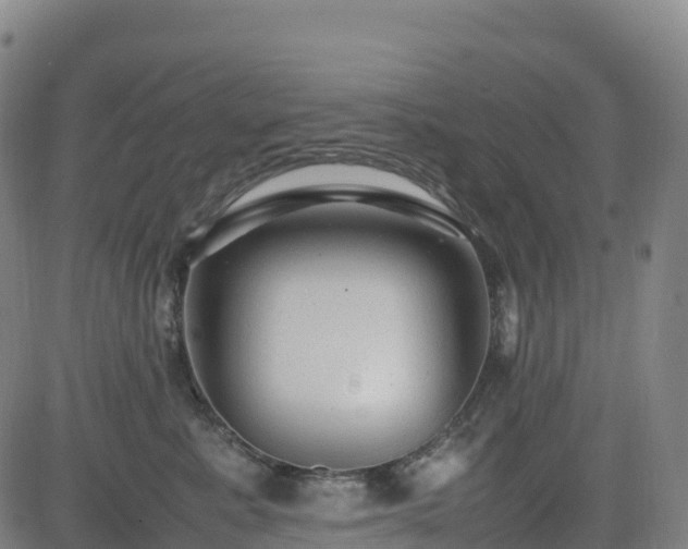 X0000083600619200702162210
