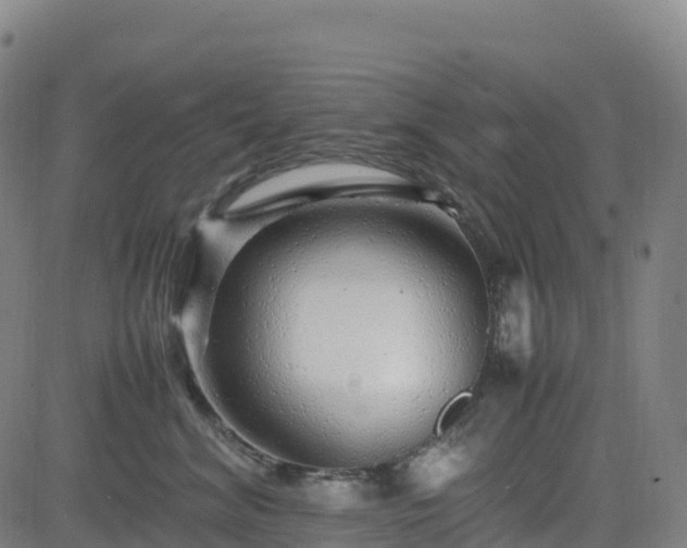 X0000083600620200702162210