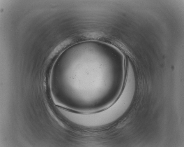 X0000083600634200702162209