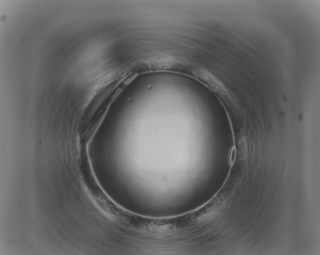 X0000083600638200702162209