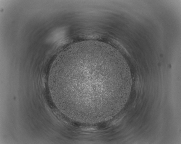 X0000083600643200702162209