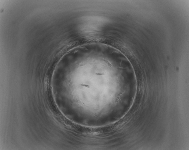 X0000083600647200702162209