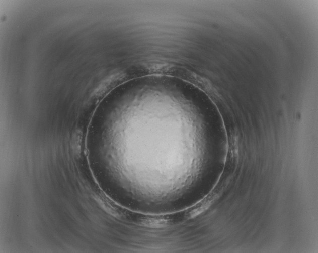 X0000083600664200702162210