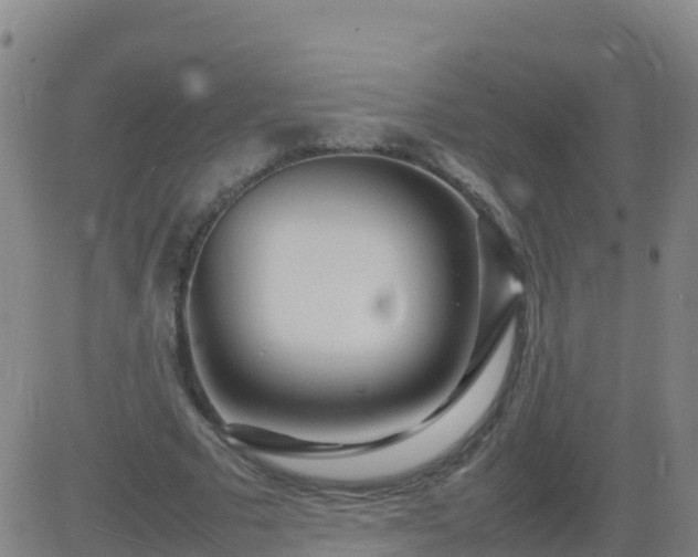 X0000083600681200702162209