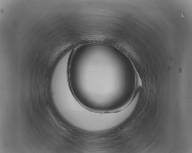 X0000083600692200702162209
