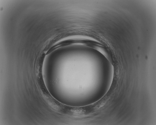 X0000083600693200702162209